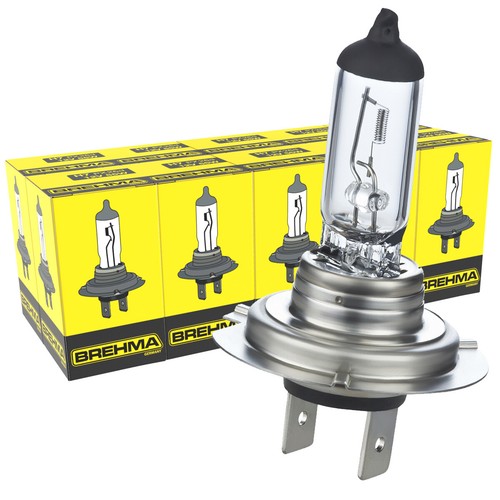 10x birnen 12v 55w lampen - 12v,